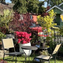 Beautiful Outdoor Furniture 