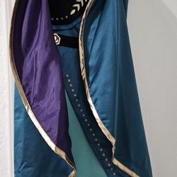 Frozen Halloween Costume