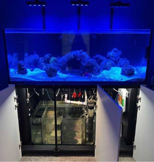 life reach Spacious Full-Sized Aquarium Tank A Stunning Display for Your Space