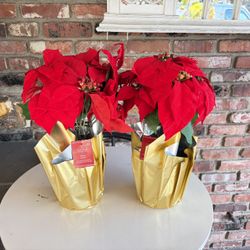 2 Red Velvet Poinsettia Artificial BRAND NEW