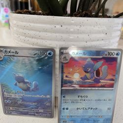 Pokemon Japanese wartortle cards