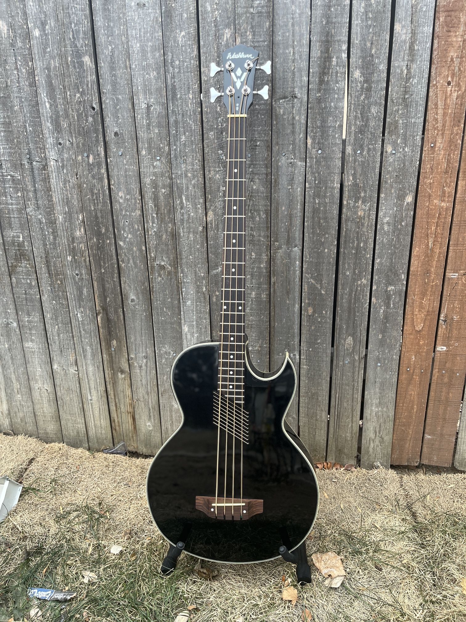 Washburn AB10