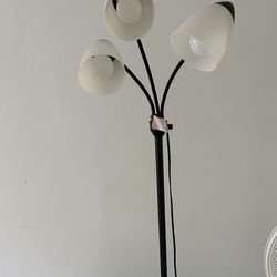 Standing Light Fixture 