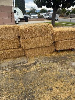 Straw Bales – Lot of Several
