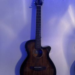 ibanez 12 string guitar