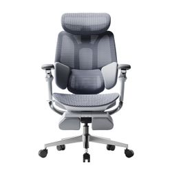 Hbada E3 Ultra Ergonomic Chair