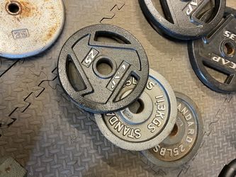25 lb steel plates