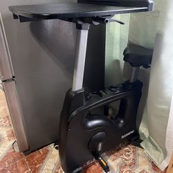 Flexispot Exercise Desk Bike