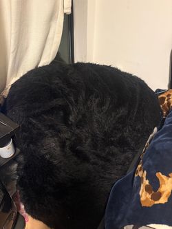 Large bean bag chair