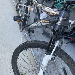 “Bike” Canyon  Dynacraft Silver 