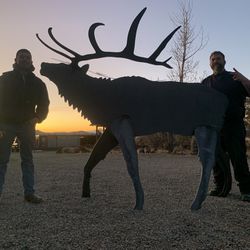 Lifesize Steel Elk 505-459-4007