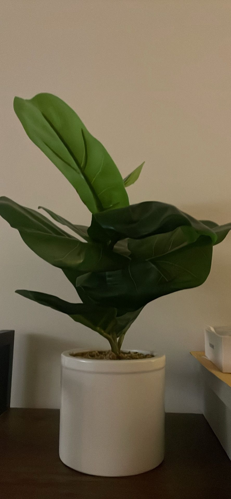 Artificial Plant