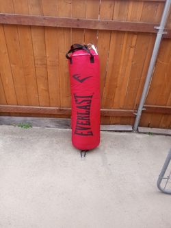 Everlast Punching Bag