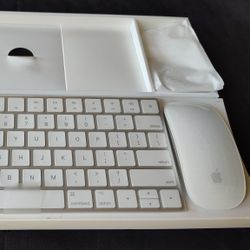 Apple Keyboard And Mouse Combo 