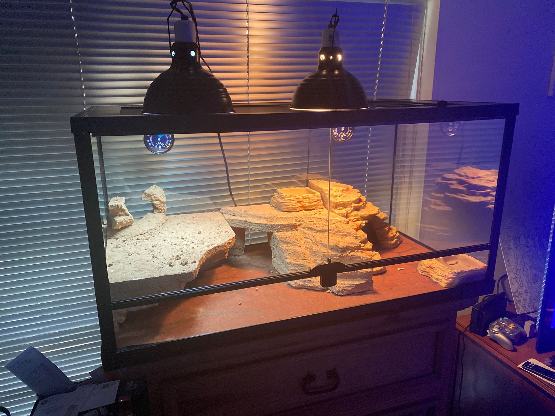 40 gallon reptile tank for Sale in Stagecoach, TX - OfferUp