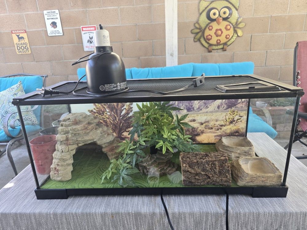 20 Gallon Glass Terrarium