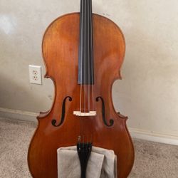 4/4 Stard Model Cello
