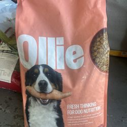Dog Food