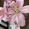 Lily
