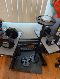 AOC Pilates adjustable dumbbells and Eisenlink heavy duty stand