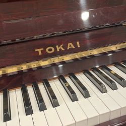 Tokai 