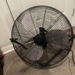 Fan 