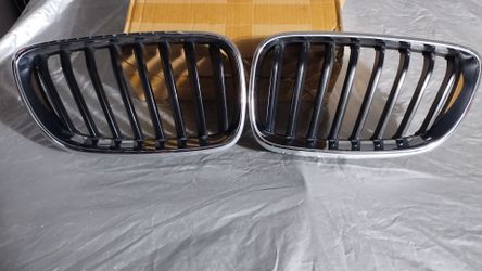BMW KIDNEY GRILLS