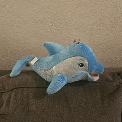 Dolphin Stuffed Animal 