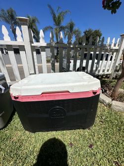 Igloo ice chest