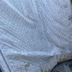 Free Mattress