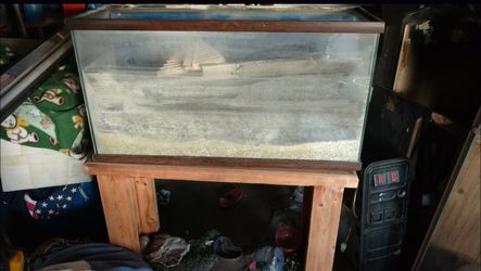 20 gallon show fish tank