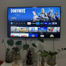 Two 40” Gaming/streaming Display Screen