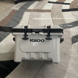 Igloo IMX Cooler  24 Qt