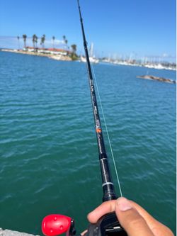 Fishing rod