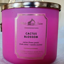 Cactus Blossom 3-Wick Candle