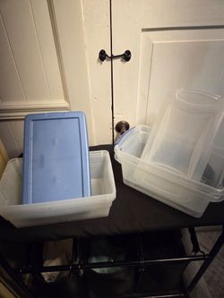 Sterilite Shoe box size containers