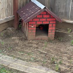 Small dog House 
