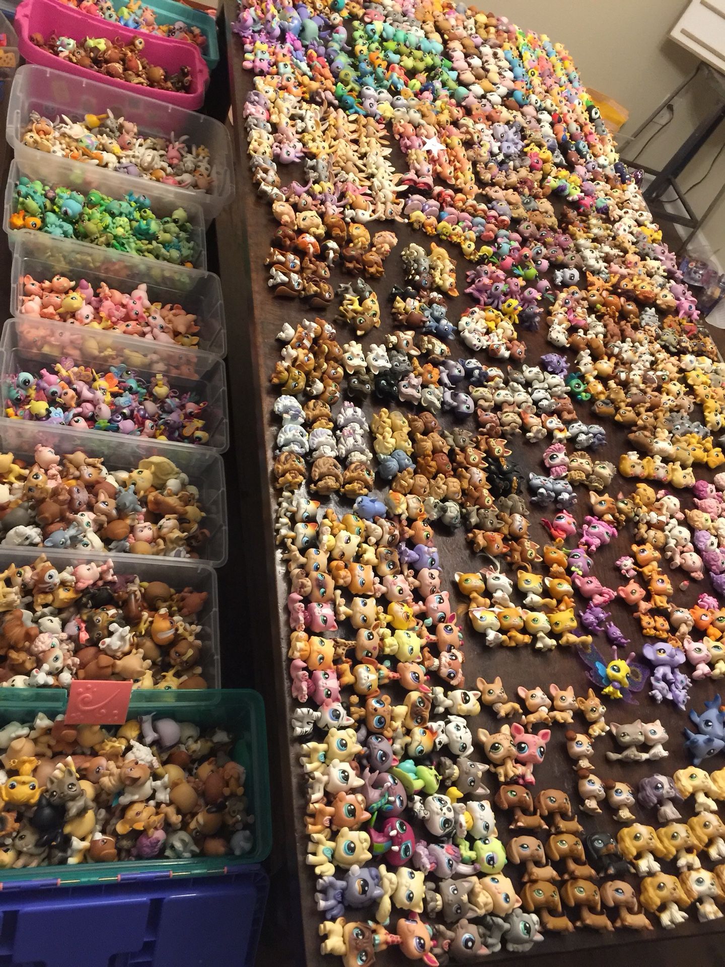 Littlest Pet Shop LPS store!!!