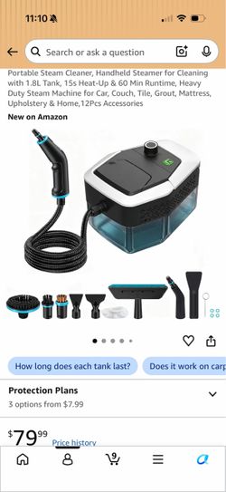 Portable steam cleaner