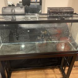 55 Gallon Aquarium Set