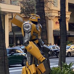 NEW BUMBLEBEE COSTUME