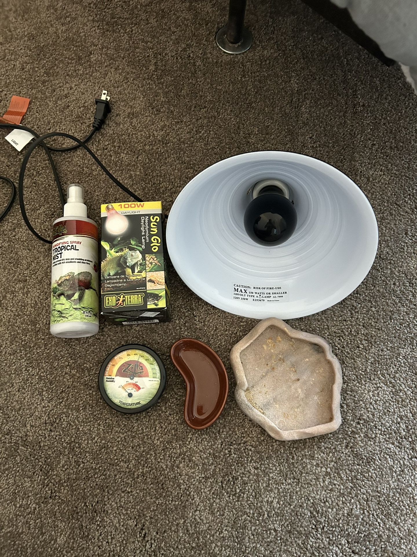 Reptile Care