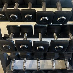 Weights & Bench