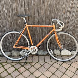 Fuji Feather Bike