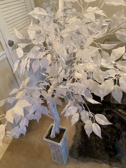 Set of two white plants