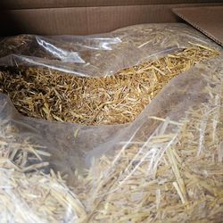 STRAW for  Animal bedding, Garden etc