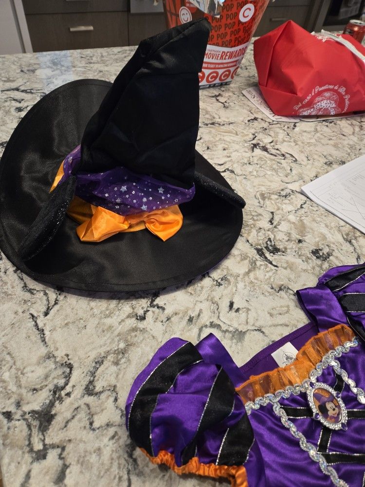 Mini Mouse Halloween Costume