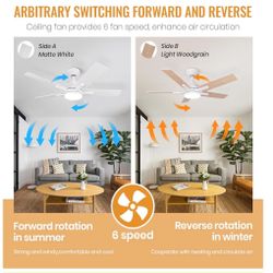 Viossin 42 Inch Ceiling Fan With Light