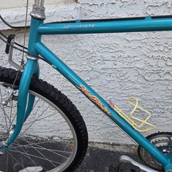 Mountain Bike