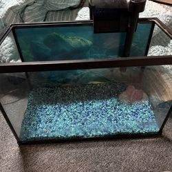 5 Gallon Fish Tank